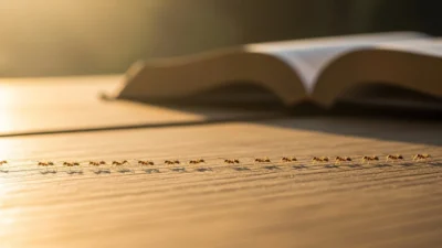 Ants in Dreams Biblical Meaning