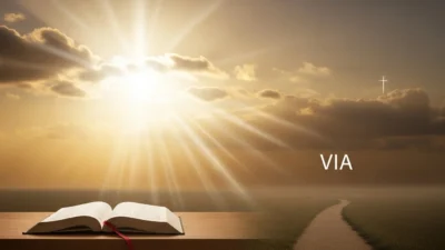 VIA Meaning
